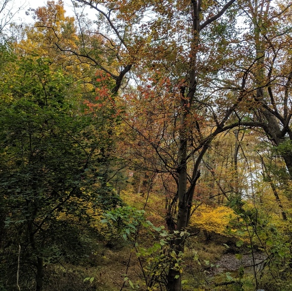 Meet your Posher, Stacey - Picture 1 of 1